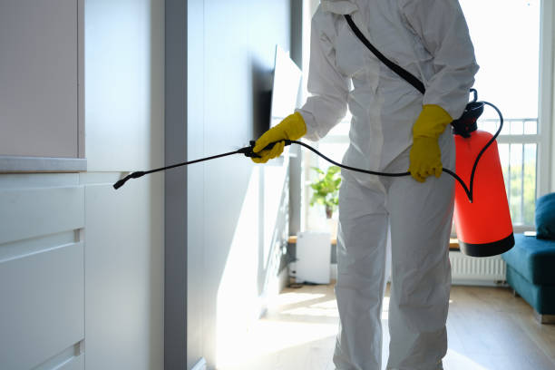 Real Estate Pest Inspections in Norcross, GA